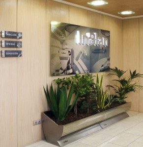 Entrada